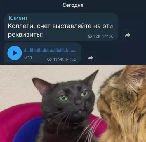 Смешная картинка №716031