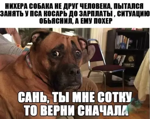 Смешная картинка №312493