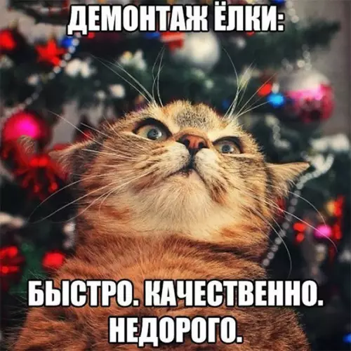 Смешная картинка №231408