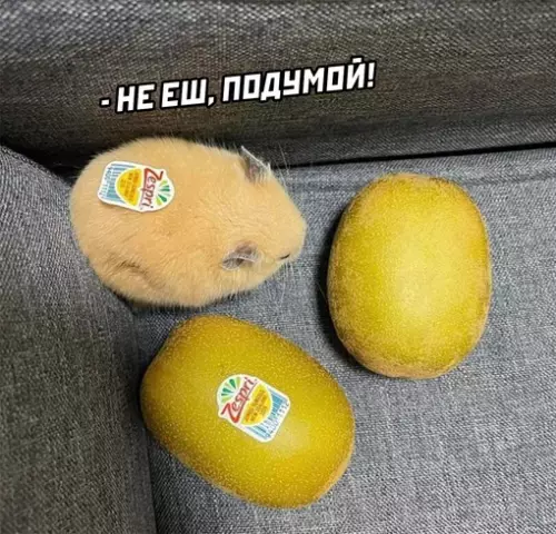 Смешная картинка №683526
