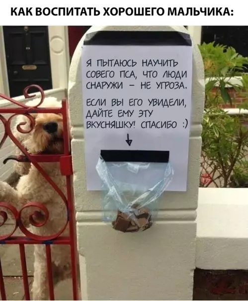 Смешная картинка №299951