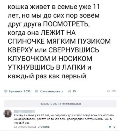 Смешная картинка №240724 Как в первый раз