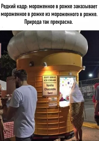 Смешная картинка №491543