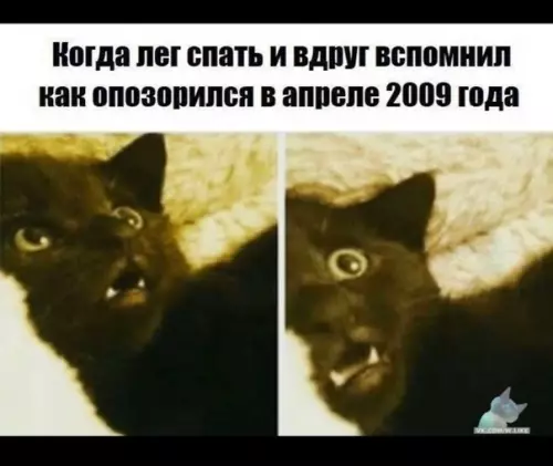 Смешная картинка №388561