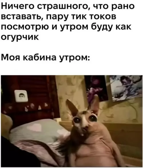 Смешная картинка №788901