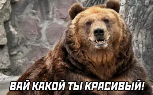 продолжение Смешная картинка №590162