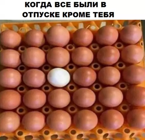 Смешная картинка №302767