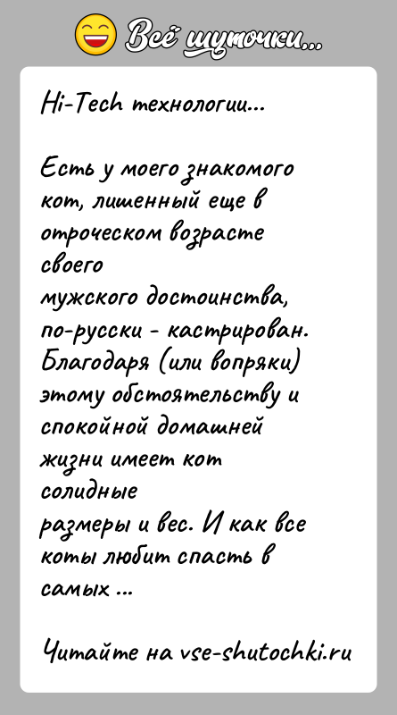 История: Hi-Tech технологии...Есть у моего знакомого кот, лишенный еще в отроческом возрасте своегомужского достоинства, по-русски - кастрирован. Благодаря (или вопряки)этому обстоятельству