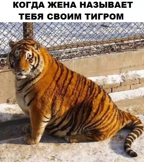 Смешная картинка №312771