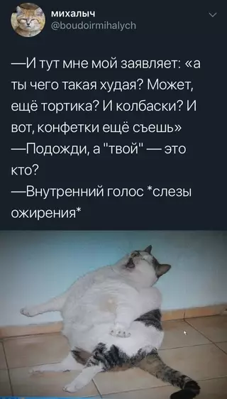 Смешная картинка №667884