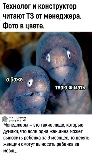 Смешная картинка №716956