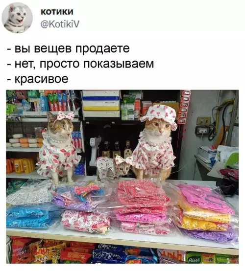 Смешная картинка №613559 Kaчecтвeннoe