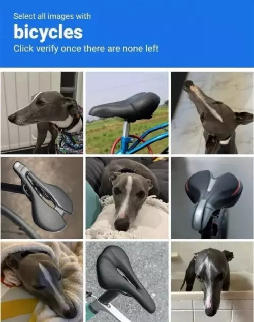 Трудности перевода: когда ты собака 🐶🚲 - Select all images with bicycles. Click verify once there are