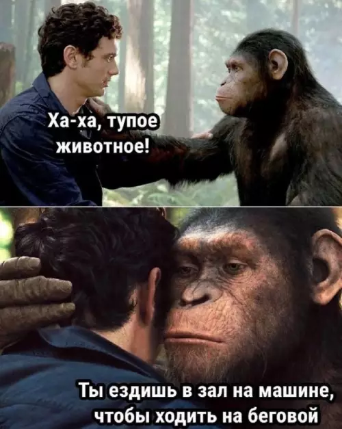 Смешная картинка №743167