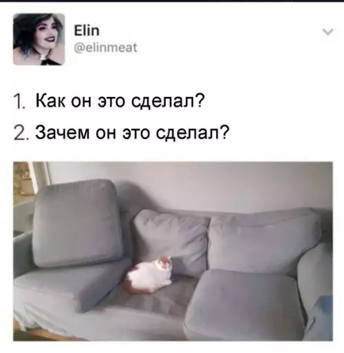 Смешная картинка №234348
