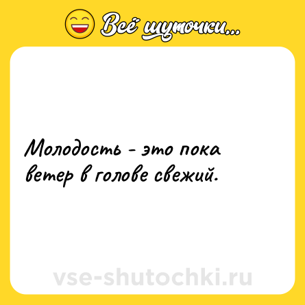 Шутка: Молодость - это пока ветер в голове свежий.