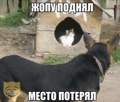 Смешная картинка №336131 #приколы #картинки #мемы ?