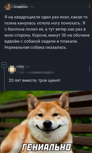 Смешная картинка №677732
