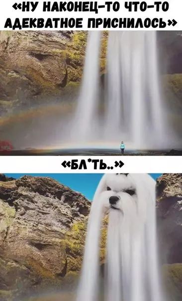 Смешная картинка №224675