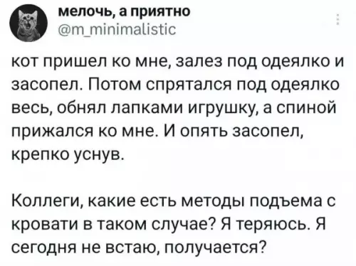 Как встать с кровати, если кот против? 🐈💤 - мелочь, а приятно m minimalistic кот пришел ко мне, залез