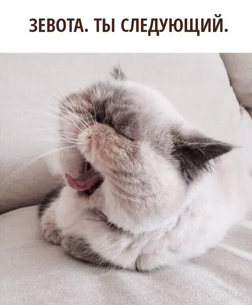 Смешная картинка №281722