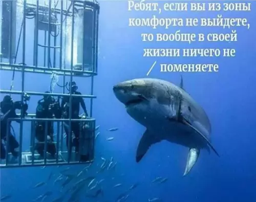 Смешная картинка №634298