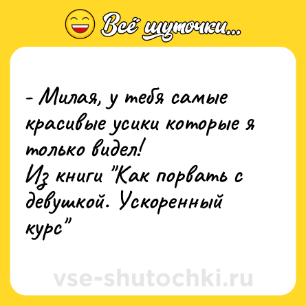 Шутка: - Милая, у тебя самые красивые усики которые я только видел! <br>Из книги 