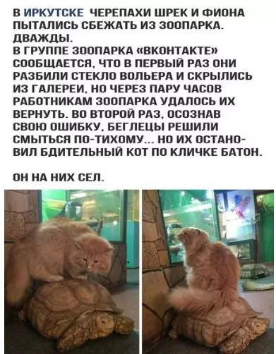 Смешная картинка №231377