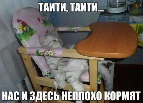 Смешная картинка №180938