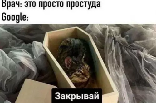 Смешная картинка №736370