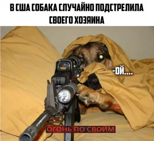 Смешная картинка №274364