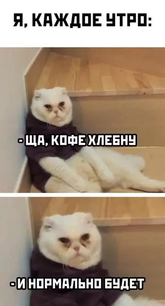 Смешная картинка №532045