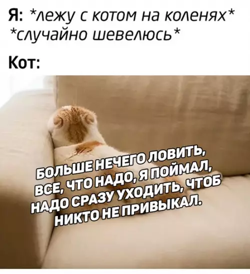 Смешная картинка №369631