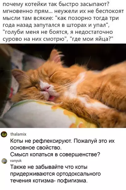 Смешная картинка №551366 Heт смыслa копаться в совершенстве