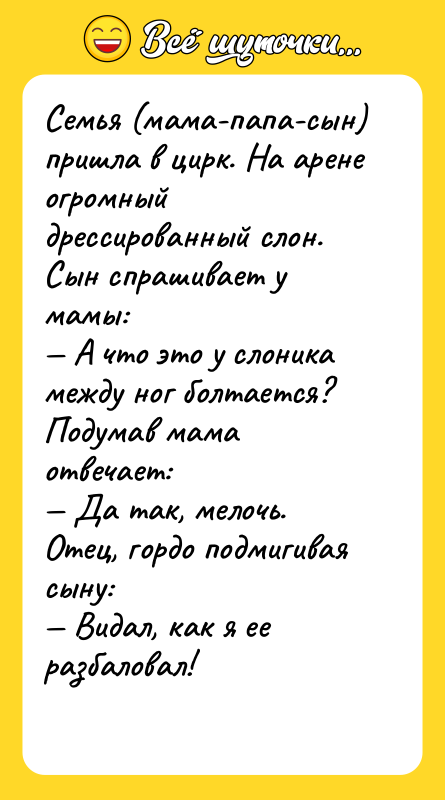 Семья (мама-папа-сын) пришла в цирк. На арене огромный дрессированный слон.