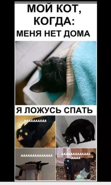 Смешная картинка №366581