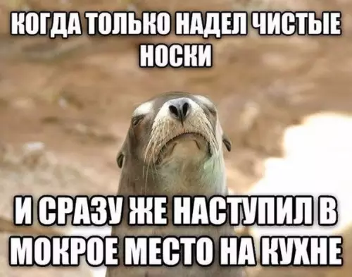Смешная картинка №190783