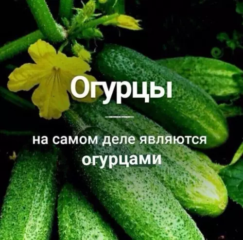 Смешная картинка №353510