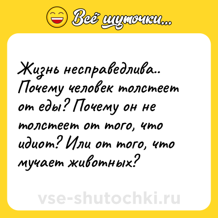Шутка: Жизнь несправедлива.. Почему человек толстеет от еды? Почему он не толстеет от того, что идиот? Или от того, что мучает животных?