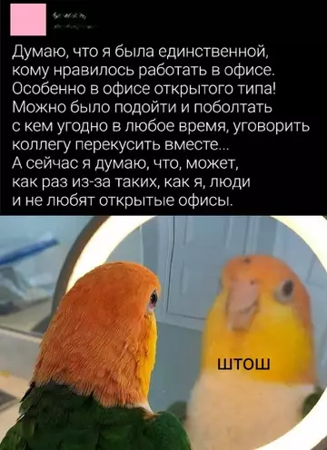 Смешная картинка №753002 Внезапное откровение
