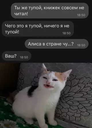 Смешная картинка №674033 переписка