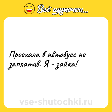 Шутка: Проехала в автобусе не заплатив. Я - зайка!