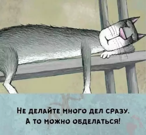 Совет дня для всех продуктивных 🐈 - Не делайте много дел сразу. А то можно обделаться!