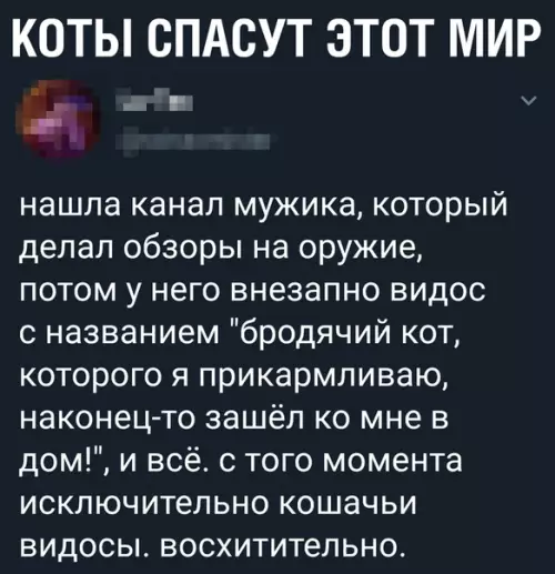Смешная картинка №364731