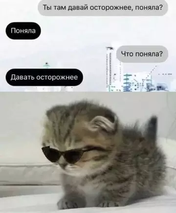 Смешная картинка №748008