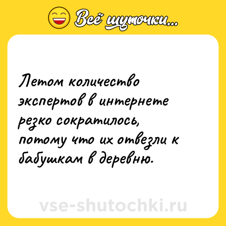 Шутка: Летом количество экспертов в интернете резко сократилось, потому что их отвезли к бабушкам в деревню.