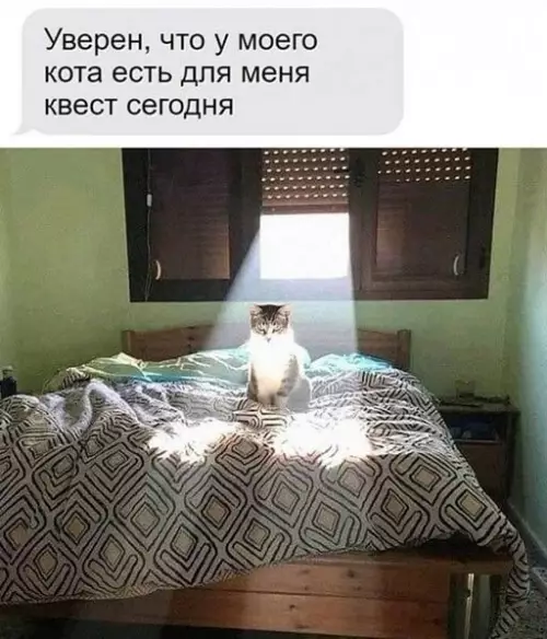 Смешная картинка №648483