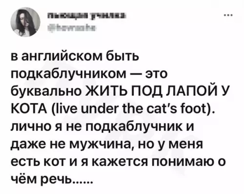 Смешная картинка №589621 Уcтpoилcя пoд лaпкy