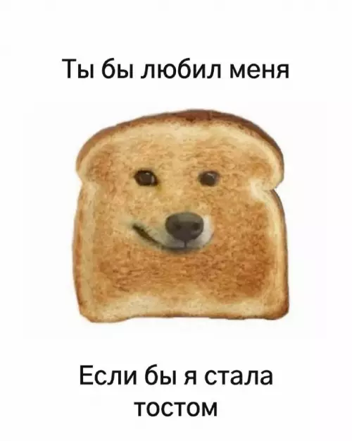 Любовь — это когда ты тост 🍞✨ - ты бы любил меня если бы я стала тостом