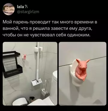 Смешная картинка №821189 Друг Жена